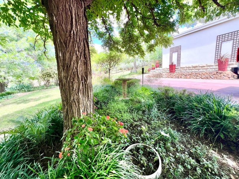 4 Bedroom Property for Sale in Lindley Free State